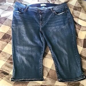 Lane Bryant super soft and stretchy Capris, great condition.